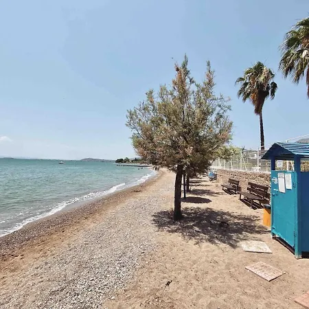 别墅 ᑕyᑕᒪᗩᗪiᑕ ᐯiᒪᒪᗩ 埃雷特里亚